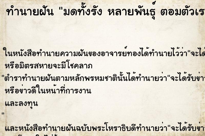 ทำนายฝันมดทั้งรังหลายพันธุ์ตอมตัวเราเยอะมากมีมดเต็มไปหมด ทำนายฝันทำนายฝันมดทั้งรังหลายพันธุ์ตอมตัวเราเยอะมากมีมดเต็มไปหมด